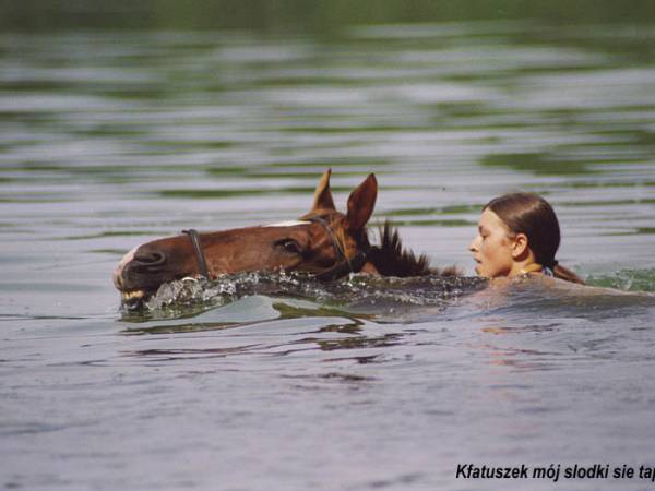 Baśniowe Chaty Hobbitów w Ośrodku Jeździeckim Skręt