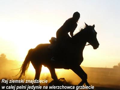 Baśniowe Chaty Hobbitów w Ośrodku Jeździeckim Skręt