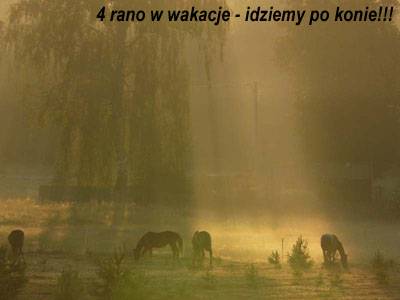 Baśniowe Chaty Hobbitów w Ośrodku Jeździeckim Skręt