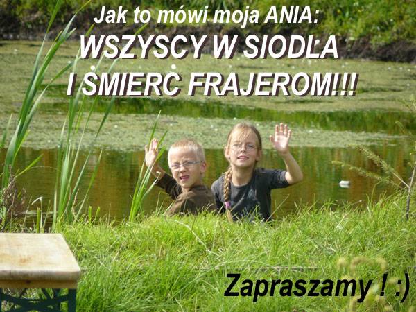 Baśniowe Chaty Hobbitów w Ośrodku Jeździeckim Skręt