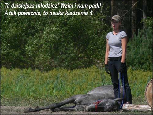 Baśniowe Chaty Hobbitów w Ośrodku Jeździeckim Skręt