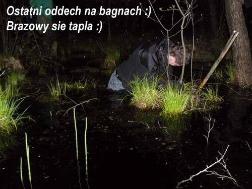 Baśniowe Chaty Hobbitów w Ośrodku Jeździeckim Skręt