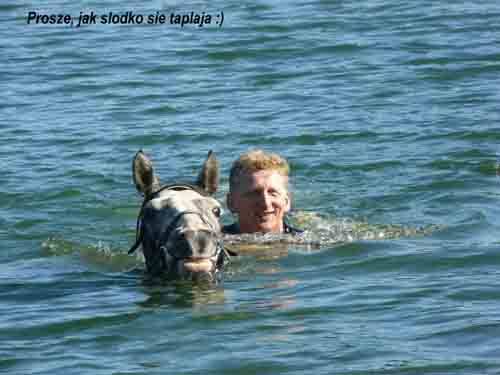 Baśniowe Chaty Hobbitów w Ośrodku Jeździeckim Skręt