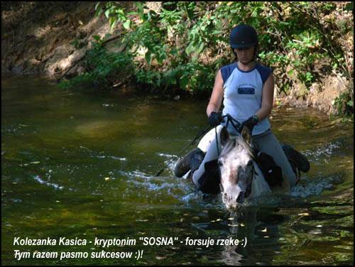 Baśniowe Chaty Hobbitów w Ośrodku Jeździeckim Skręt
