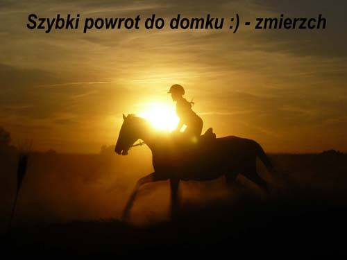 Baśniowe Chaty Hobbitów w Ośrodku Jeździeckim Skręt