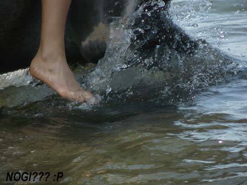 Baśniowe Chaty Hobbitów w Ośrodku Jeździeckim Skręt