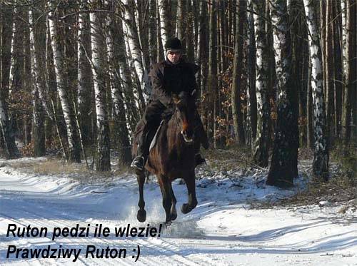 Baśniowe Chaty Hobbitów w Ośrodku Jeździeckim Skręt