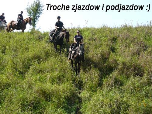 Baśniowe Chaty Hobbitów w Ośrodku Jeździeckim Skręt