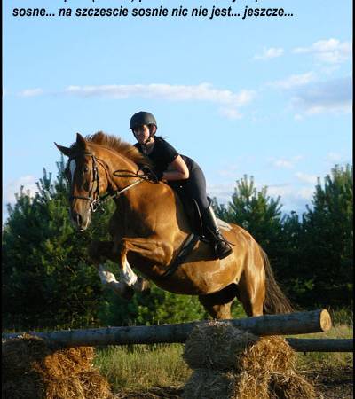 Baśniowe Chaty Hobbitów w Ośrodku Jeździeckim Skręt