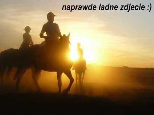 Baśniowe Chaty Hobbitów w Ośrodku Jeździeckim Skręt