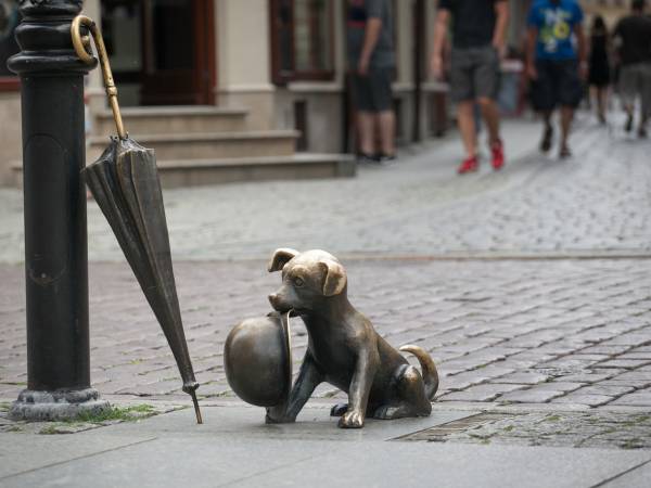 Pomnik psa Filusia w Toruniu