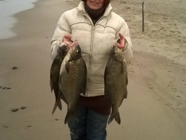 Pokoje gościnne Bryza