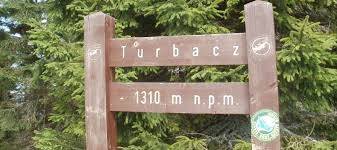 Turbacz