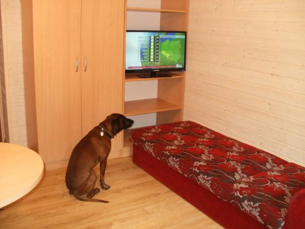 Domek piętrowy -pokój z telewizorem.