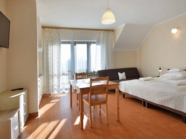 pokój z aneksem kuchennym