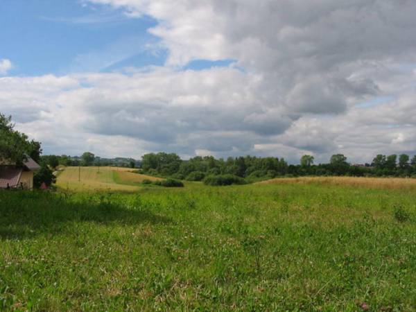 Widoki okolicy domku