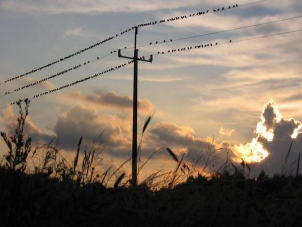 Widoki okolicy domku