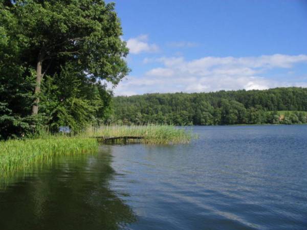 Widoki okolicy domku