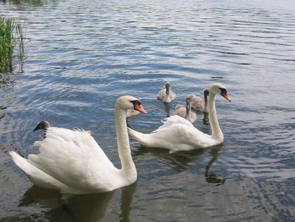 Widoki okolicy domku