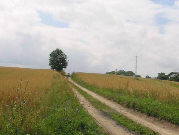 Widoki okolicy domku