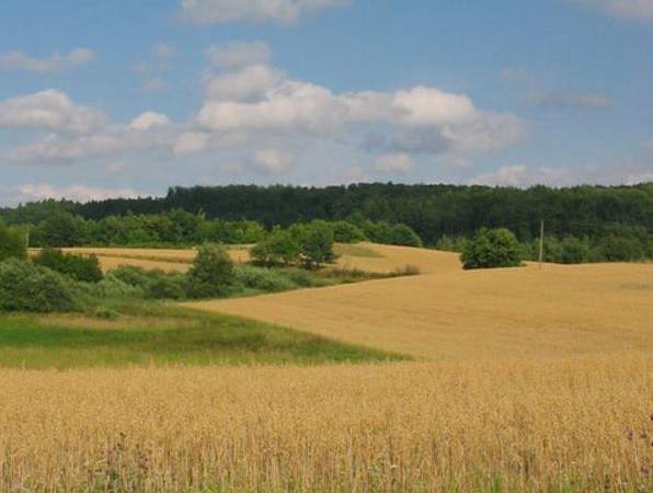 Widoki okolic Chmielna