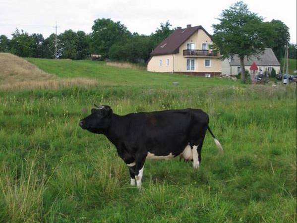 Widoki okolic Chmielna