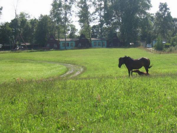 Widoki okolic Chmielna