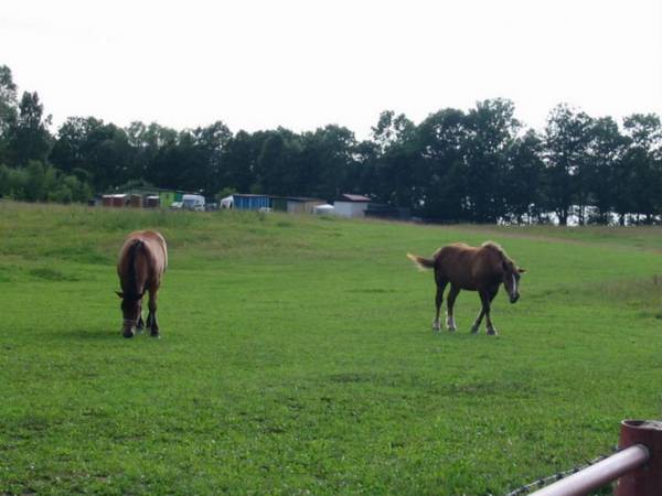 Widoki okolic Chmielna