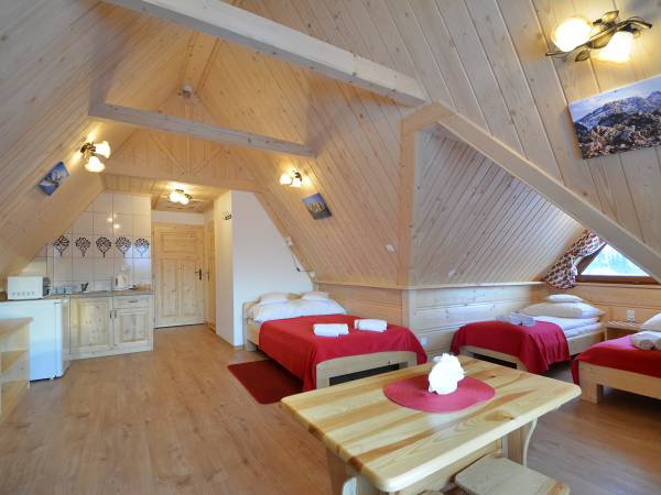 Aneks kuchenny w apartamencie.