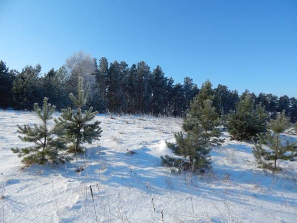 Domy, Domki, Plaża, Kajaki, Ryn, Rybical, Skorupki 