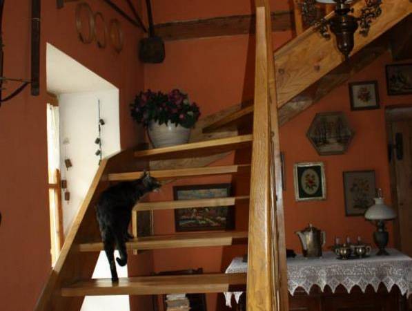 Niebieski Domek Burgrabice