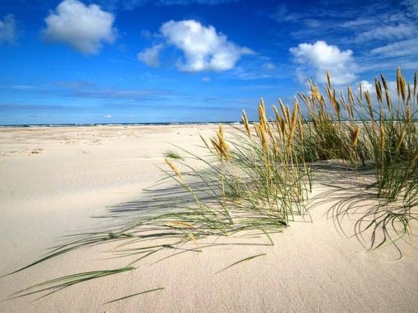 Pokoje Gościnne U Oleńki