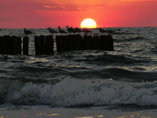 D.L. Błażkiewicz - Pensjonat