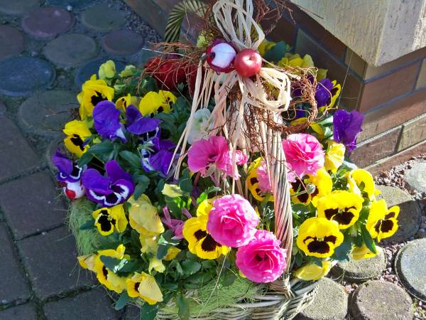 D.L. Błażkiewicz - Pensjonat