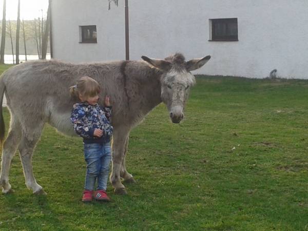 Gospodarstwo Agroturystyczne Maryśka 