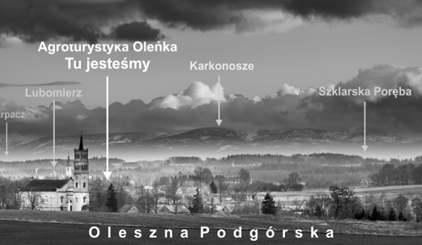 Oleszna Podgórska Panorama