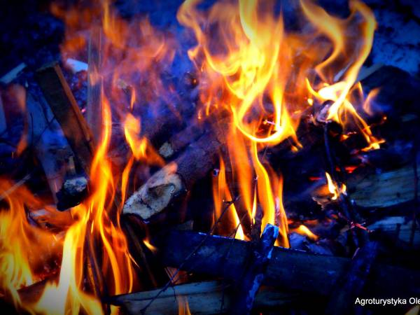 ognisko
