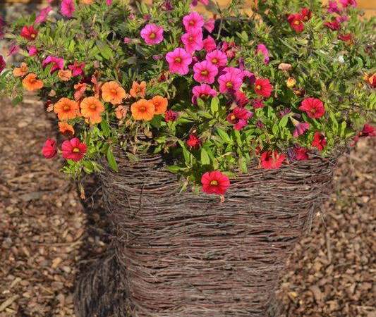 Sudecka Ostoja-Domy z Sauną i Balią 