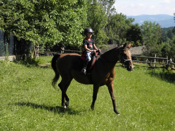 nauka jazdy konnej dla dzieci