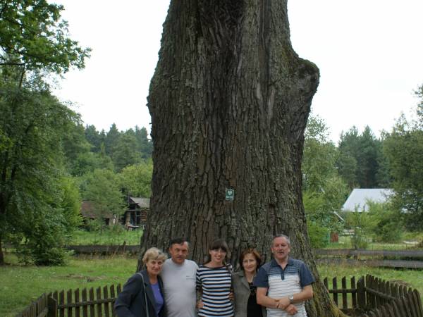 Pomniki przyrody w rezerwacie