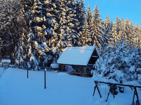 Dom Leśny Agroturystyka