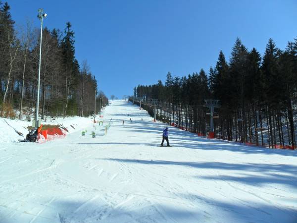 Dom Leśny Agroturystyka