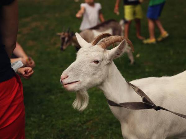 Pokoje Gościnne Duda