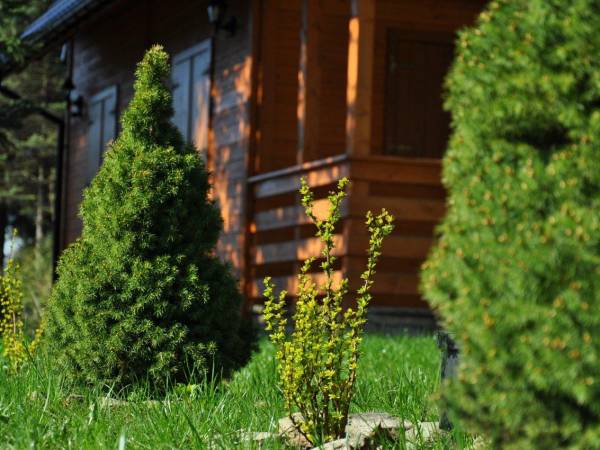 Domek Górski Promyk