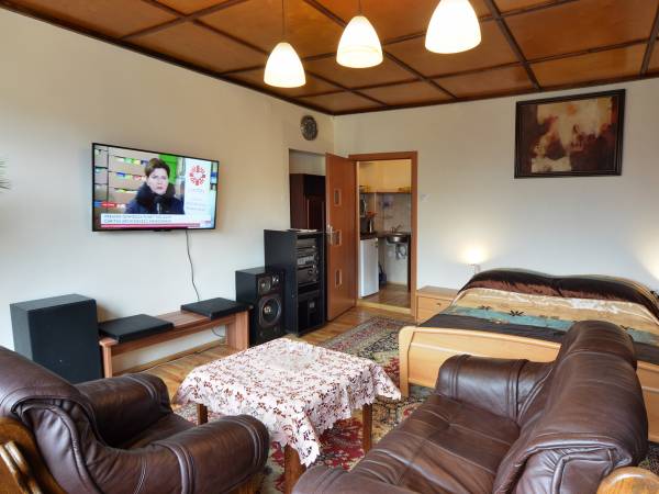 1-pokój typu studio z łazienką