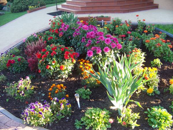 pobyt umilają kolorowe rabaty