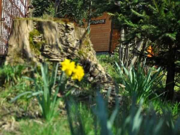 Domek Górski Promyk