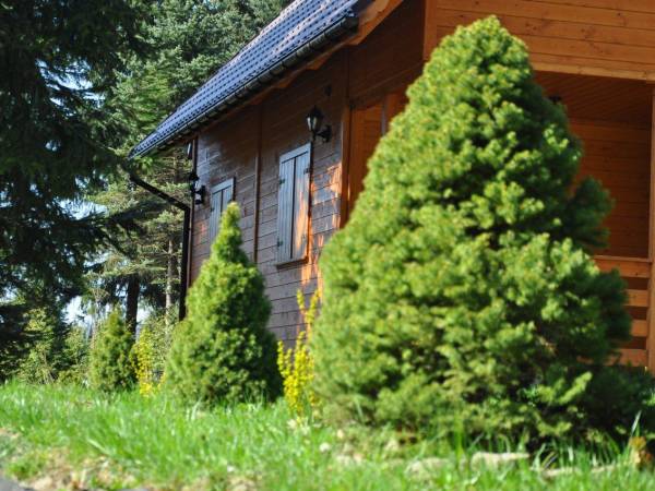 Domek Górski Promyk