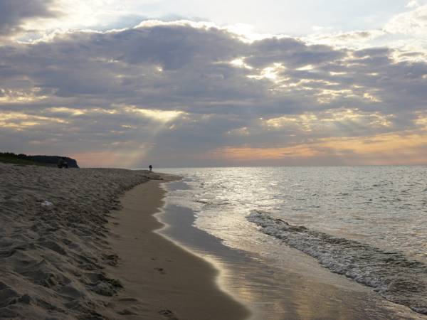 Apartament Lawendowy 