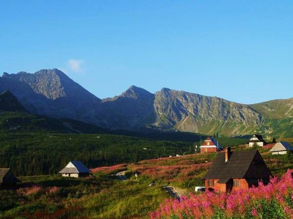 Pokoje i domki Skalnica